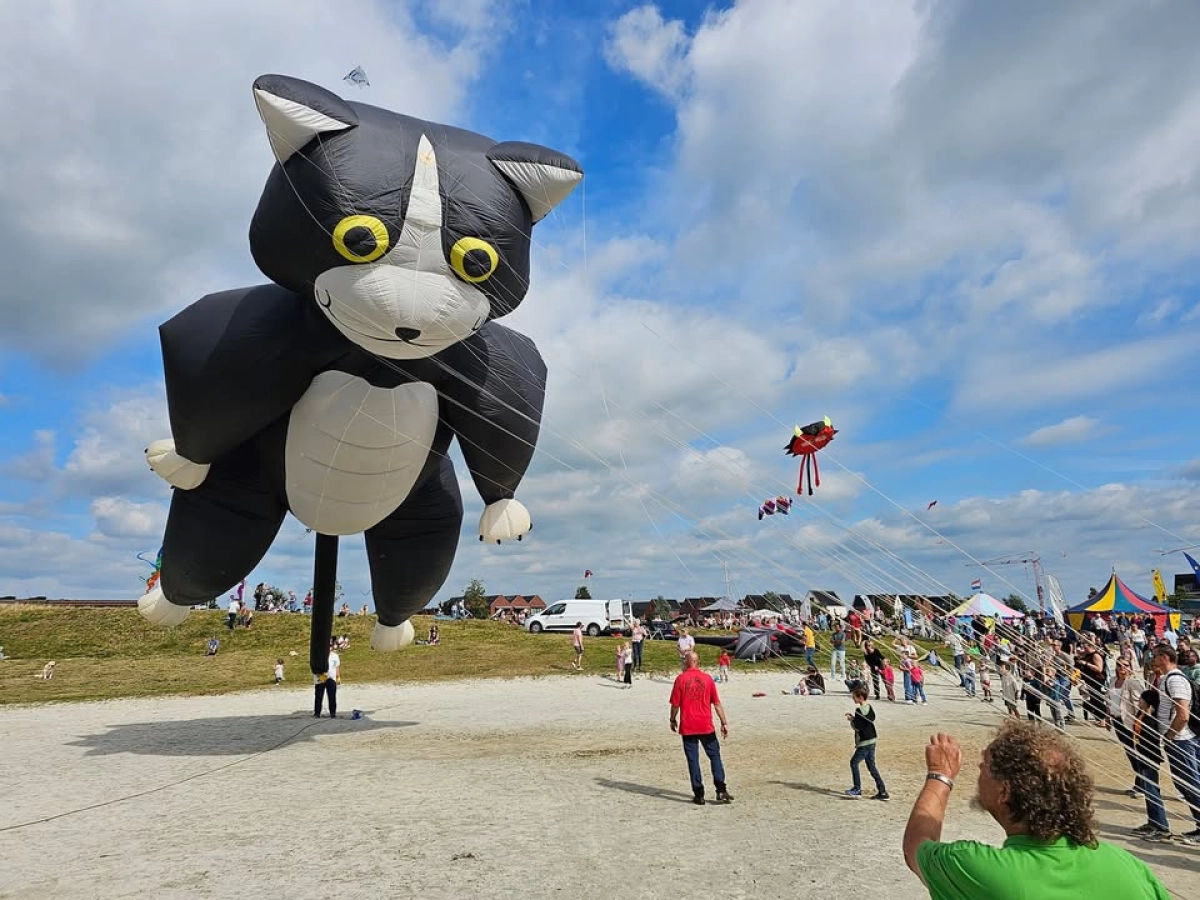 Vliegerfestival en Nazomermarkt 2025!